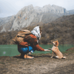 Turismo pet-friendly: viaggiare con animali domestici in Italia