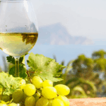 Turismo del Vino: le Migliori Strade del Vino in Italia