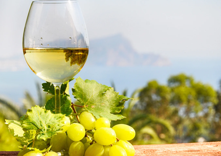 Turismo del Vino: le Migliori Strade del Vino in Italia